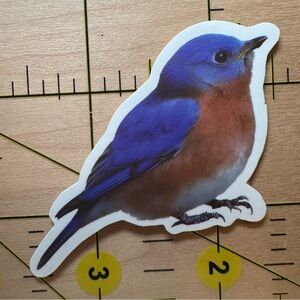 💜13/$13 +Bundle Sticker Sale | Bird Animal Waterproof Sticker